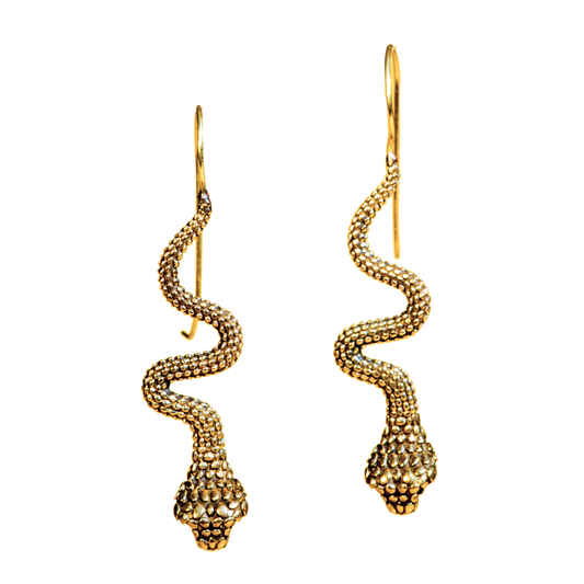 Boho Snake Earrings